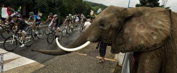 Just one of today's many rain-soaked spectators...